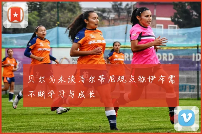 贝尔戈米谈马尔蒂尼观点称伊布需不断学习与成长