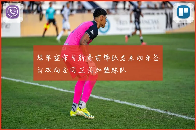 绿军宣布与新秀前锋狄龙米切尔签订双向合同正式加盟球队