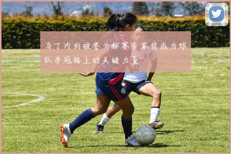 马丁内利被誉为杯赛专家将成为球队夺冠路上的关键力量