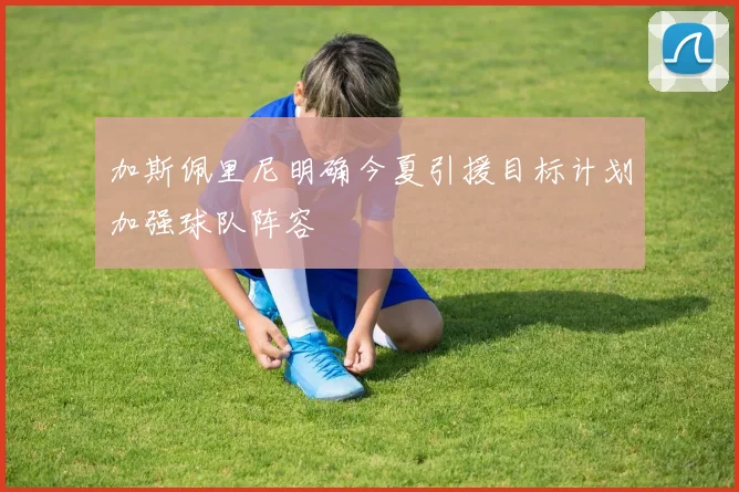 加斯佩里尼明确今夏引援目标计划加强球队阵容